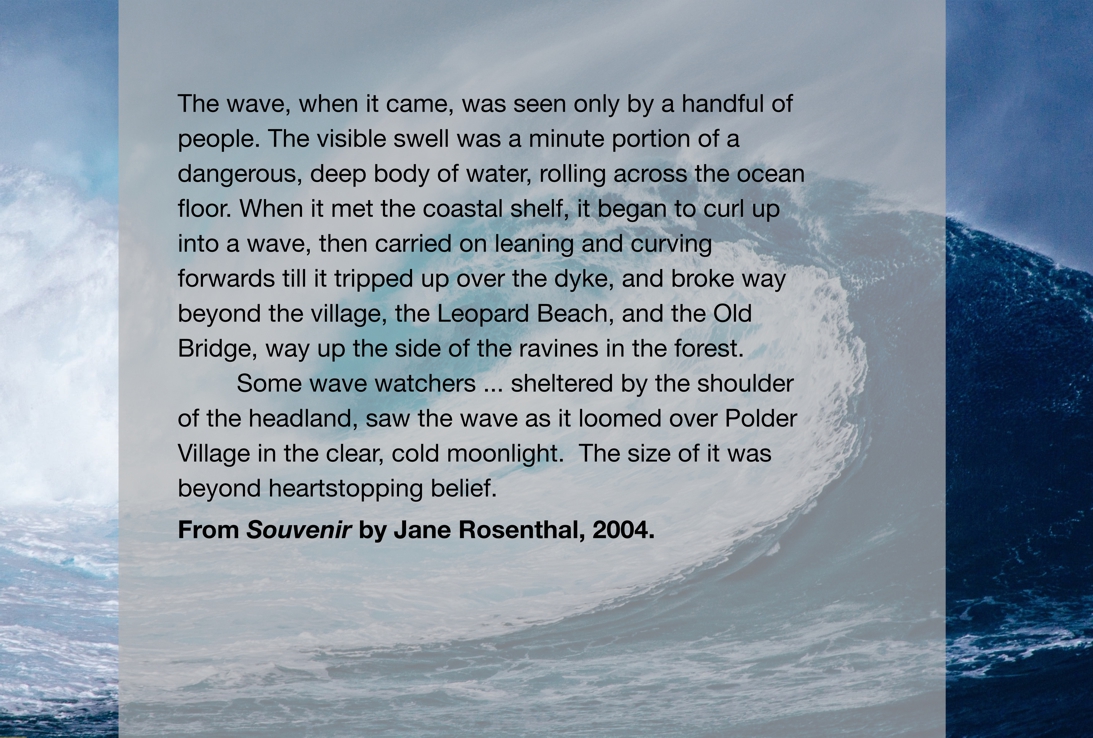 In <em>Souvenir</em>, Jane Rosenthal imagines a future South Africa where the effects of severe climate change such as rising sea-levels and are part of the everyday experience. Rosenthal illustrates the helplessness of humanity in the face of the rising sea.  